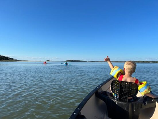 200fc06e-fc00-4f71-86f4-5e1196fd4a7a