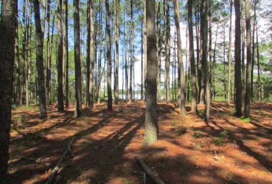 5ced834f-926a-4286-9961-bc006b7d96df