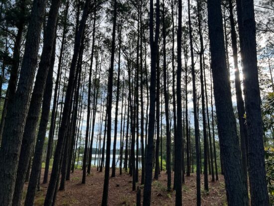 aa8a4cdb-5d43-4e1c-a94d-fdea603febe6