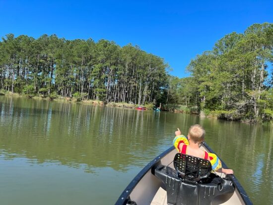 ad0cb97a-0c0b-437c-a7d4-358ed82b624c