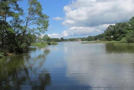 c99ab2f5-164e-4984-8065-987e459dc79e