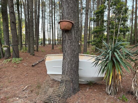 e8cd0c07-a496-4ce7-b4b9-814352c0a0f0