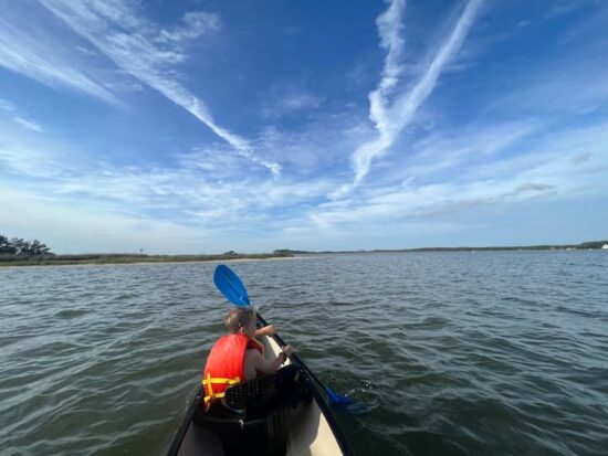 f523f43e-a391-40e5-84c3-74cb7ea4e767